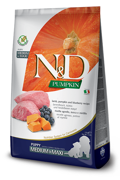 Pumpkin Lamb & Blueberry puppy medium/maxi 12կգ