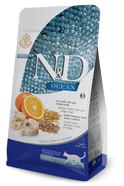 Ocean Codfish & Orange 10կգ