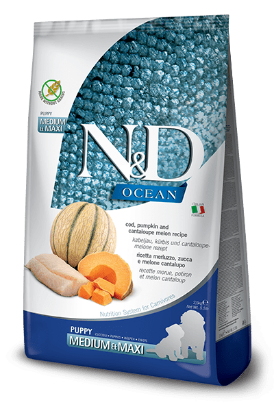 N&D Ocean COD, PUMPKIN AND CANTALOUPE MELON MEDIUM & MAXI PUPPY 2,5կգ