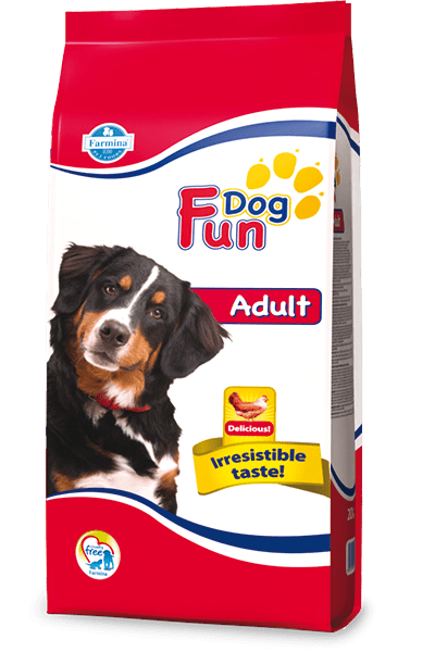 Dog Fun Adult 20կգ