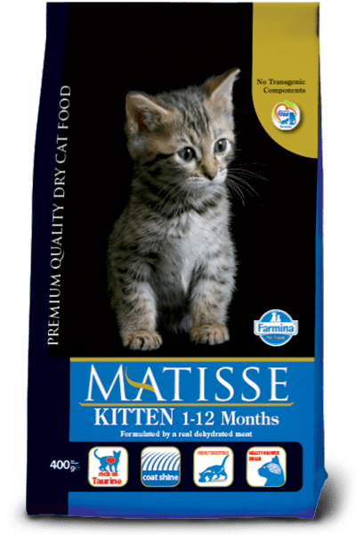 Matisse Kitten 10կգ