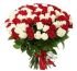 DUTCH ROSES 1 PCS