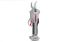 Battery-powered pruning shears 20W CROWN CT29001HX