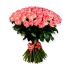 DUTCH ROSES 1 PCS